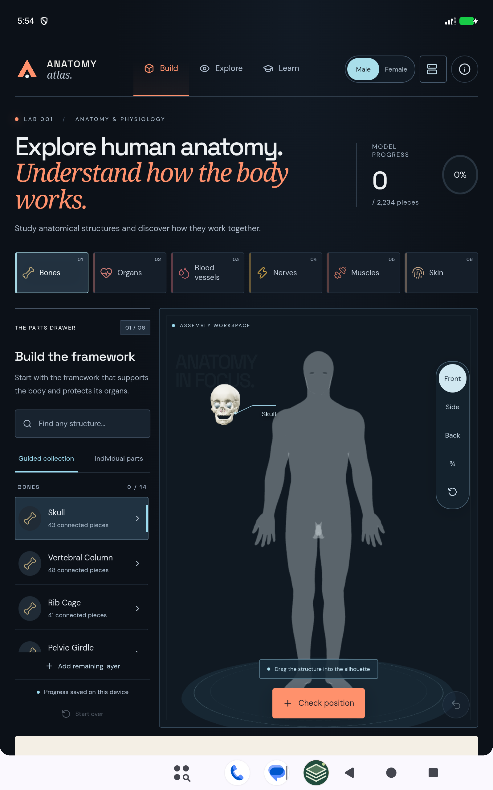 Actual Android emulator view of Anatomy Atlas with a skull ready for placement
