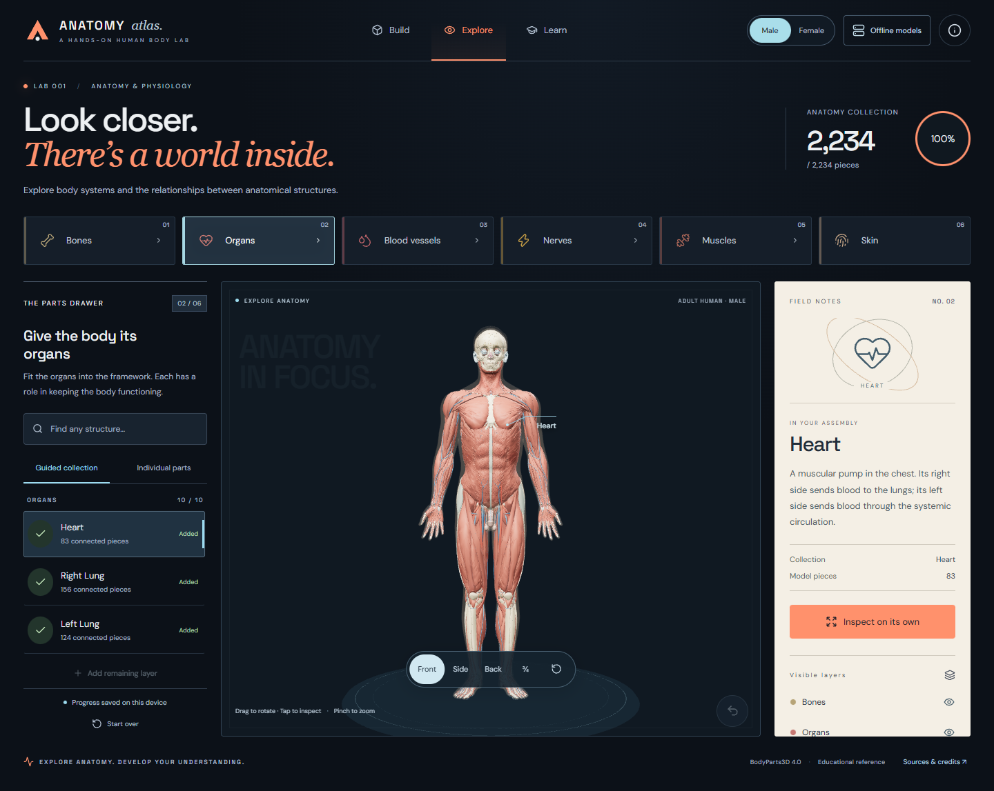 Actual Anatomy Atlas Explore workspace with a male reference body, anatomical systems and heart field notes