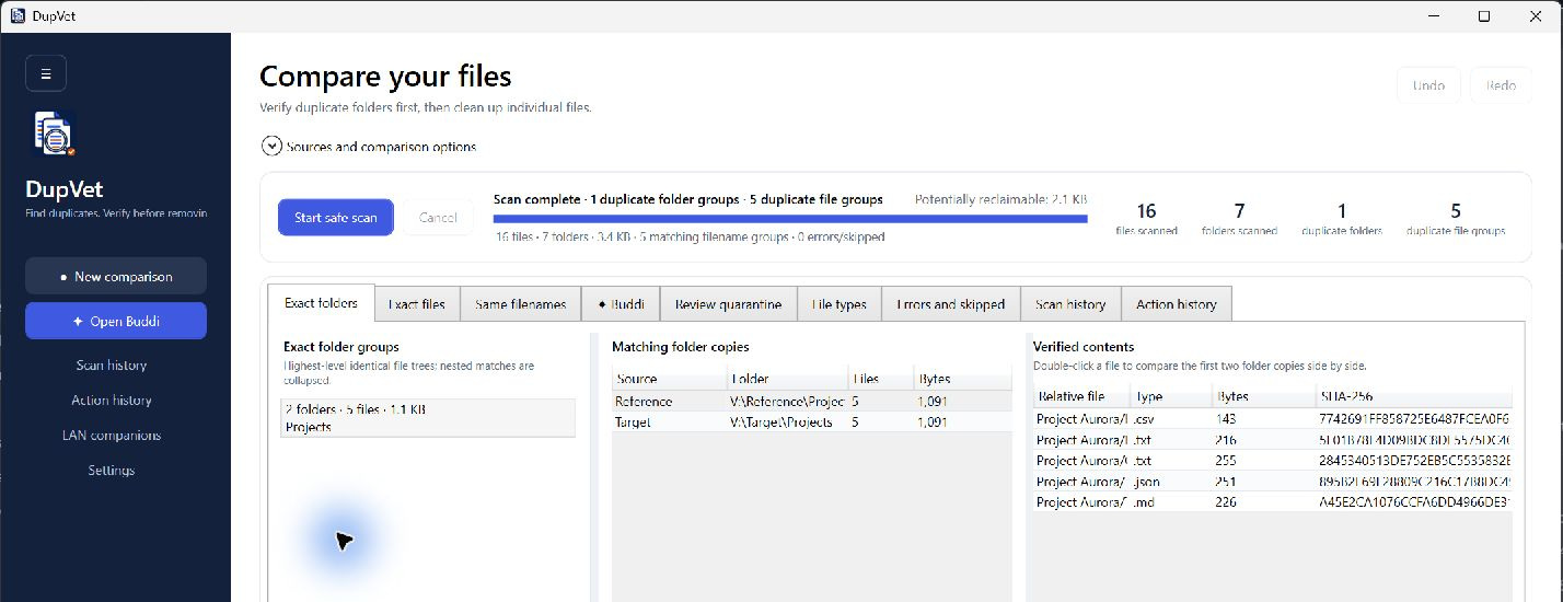 Actual DupVet folder verification showing synthetic Project Aurora reference and target files